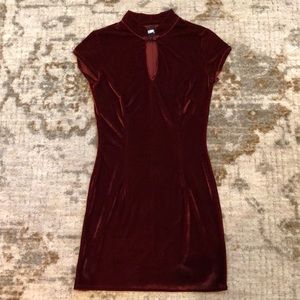 Velvet Reformation Bodycon Dress